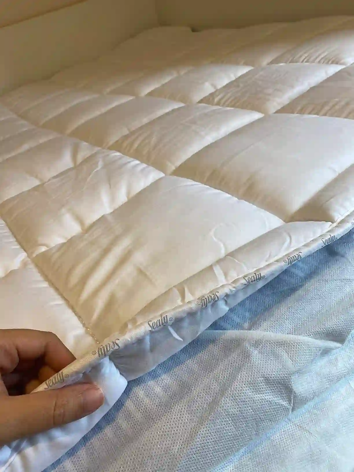 img-09-recensione-chiara